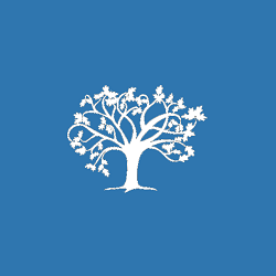 Wit logo blauwe achtergrond